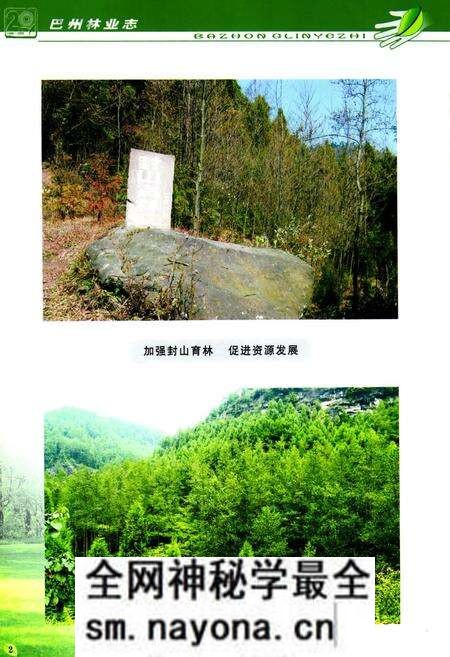 《巴中市巴州区林业志(1986-2005)》.pdf电子版_四川省志预览图3 《巴中市巴州区林业志(1986-2005)》.pdf电子版_四川省志预览图3