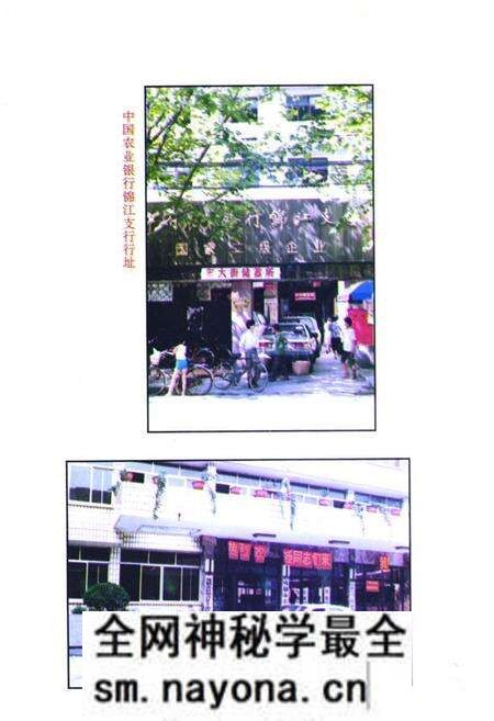 《成都农村金融志》.pdf电子版_四川省志预览图4 《成都农村金融志》.pdf电子版_四川省志预览图4