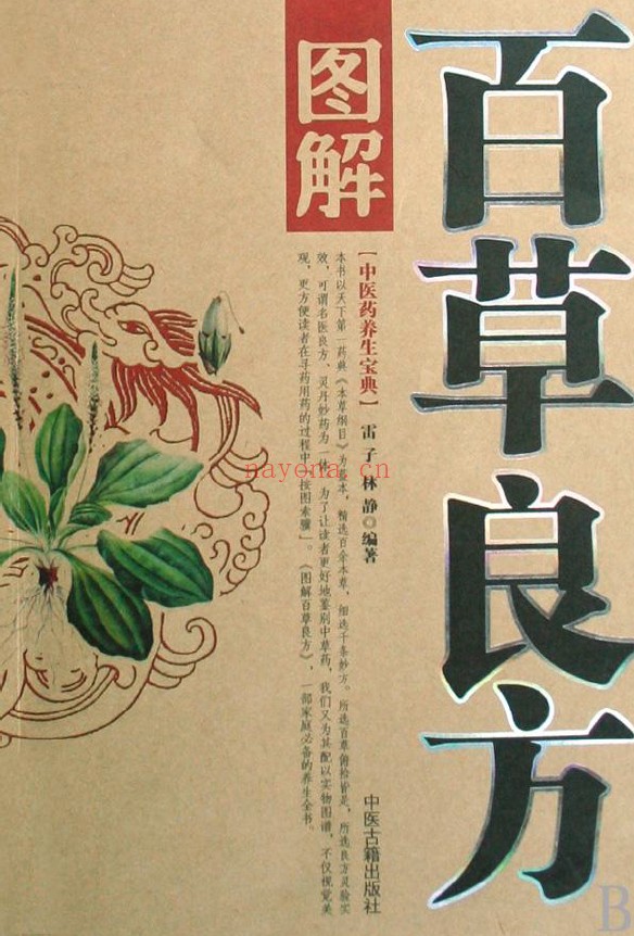 图解百草良方（雷子、林静）pdf