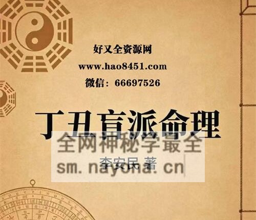 E431李安民丁丑盲派命理PDF电子书130页