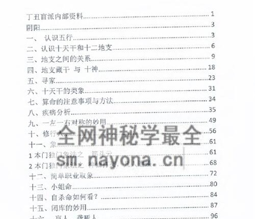 E431李安民丁丑盲派命理PDF电子书130页