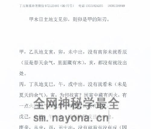 E431李安民丁丑盲派命理PDF电子书130页