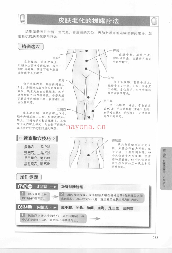 图解拔病排毒一身轻 经络穴位家用拔罐大全集pdf