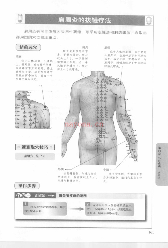 图解拔病排毒一身轻 经络穴位家用拔罐大全集pdf