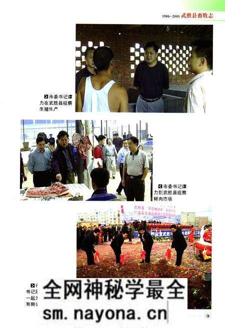 《武胜县畜牧志(1986-2005)》.pdf电子版_四川省志预览图4 《武胜县畜牧志(1986-2005)》.pdf电子版_四川省志预览图4