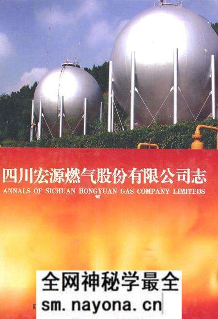 《四川宏源燃气股份有限公司志》.pdf电子版_四川省志预览图 《四川宏源燃气股份有限公司志》.pdf电子版_四川省志预览图