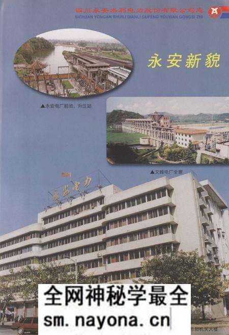 《四川永安水利电力股份有限公司志(1994-2000)》.pdf电子版_四川省志预览图5 《四川永安水利电力股份有限公司志(1994-2000)》.pdf电子版_四川省志预览图5