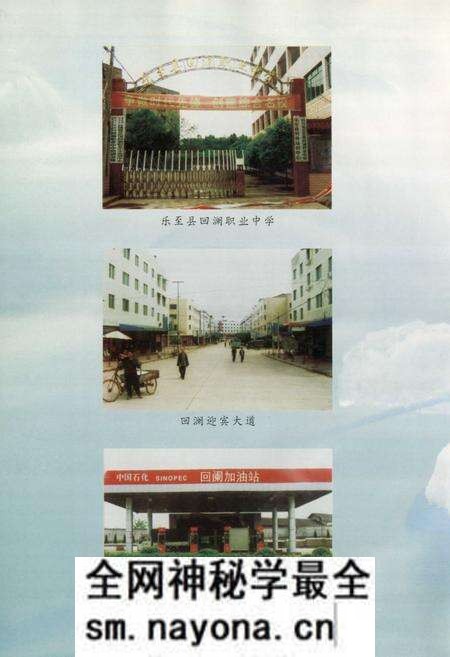 《乐至县回澜镇志(1986-2005)》.pdf电子版_四川省志预览图5
