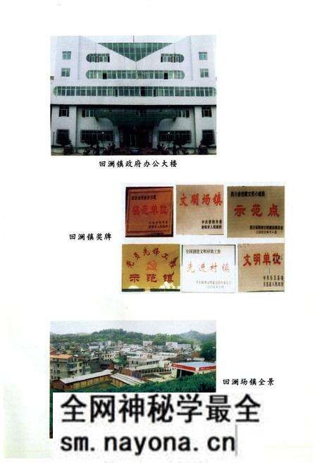 《乐至县回澜镇志(1986-2005)》.pdf电子版_四川省志预览图4
