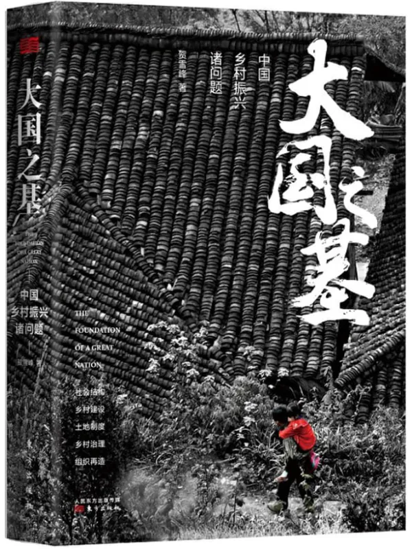 《大国之基：中国乡村振兴诸问题》封面图片