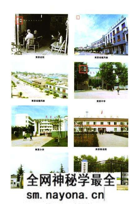 《双流县煎茶镇志(2005年本)》.pdf电子版_四川省志预览图5 《双流县煎茶镇志(2005年本)》.pdf电子版_四川省志预览图5