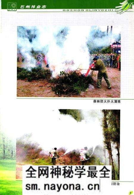 《巴中市巴州区林业志(1986-2005)》.pdf电子版_四川省志预览图4 《巴中市巴州区林业志(1986-2005)》.pdf电子版_四川省志预览图4