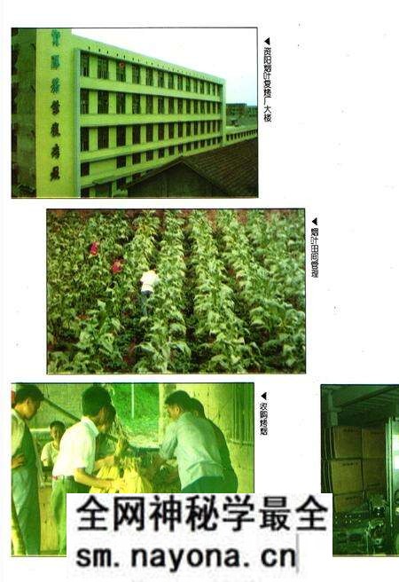 《内江地区烟草志》.pdf电子版_四川省志预览图3