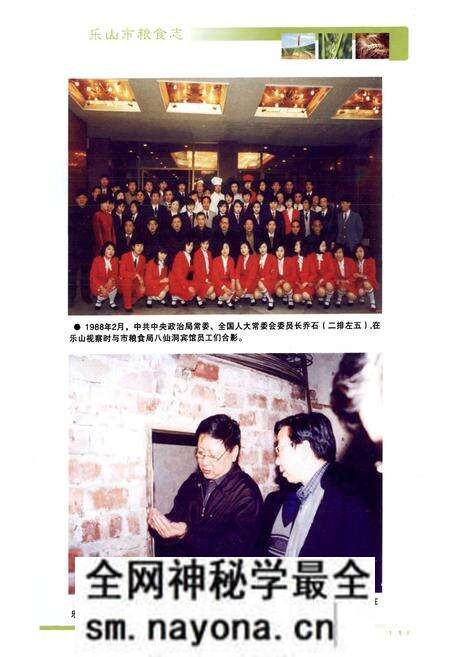 《《乐山市粮食志》》.pdf电子版_四川省志预览图1