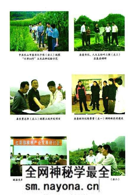 《沐川县农业志》.pdf电子版_四川省志预览图4 《沐川县农业志》.pdf电子版_四川省志预览图4