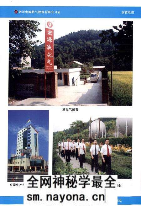 《四川宏源燃气股份有限公司志》.pdf电子版_四川省志预览图4 《四川宏源燃气股份有限公司志》.pdf电子版_四川省志预览图4