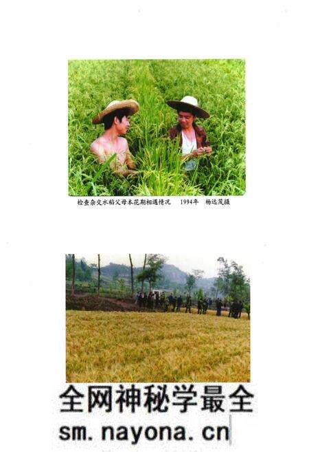 《安岳县农业局志(1986-2005)》.pdf电子版_四川省志预览图3 《安岳县农业局志(1986-2005)》.pdf电子版_四川省志预览图3