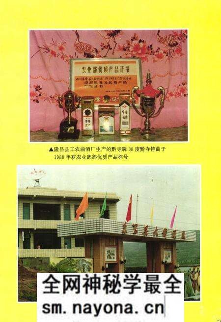 《内江地区乡镇企业志》.pdf电子版_四川省志预览图4