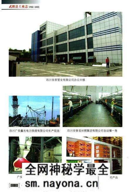 《武胜县工业志(1986-2005)》.pdf电子版_四川省志预览图3 《武胜县工业志(1986-2005)》.pdf电子版_四川省志预览图3