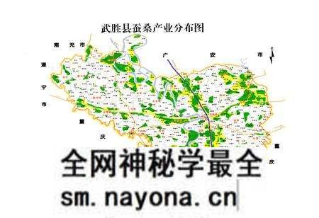 《武胜县蚕桑志(1986-2005)》.pdf电子版_四川省志预览图5 《武胜县蚕桑志(1986-2005)》.pdf电子版_四川省志预览图5
