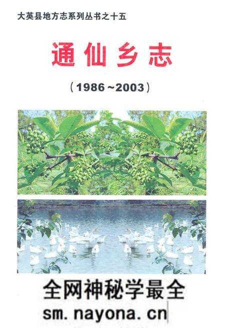 《《通仙乡志(1986~2003)》》.pdf电子版_四川省志预览图 《《通仙乡志(1986~2003)》》.pdf电子版_四川省志预览图