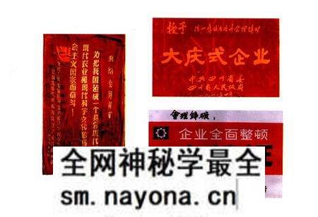 《会理锌矿志(1702-1985)》.pdf电子版_四川省志预览图3 《会理锌矿志(1702-1985)》.pdf电子版_四川省志预览图3