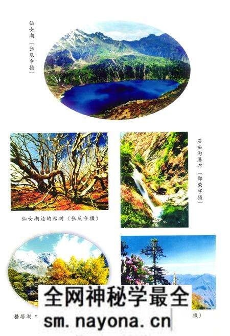 《九龙县民族志》.pdf电子版_四川省志预览图3 《九龙县民族志》.pdf电子版_四川省志预览图3