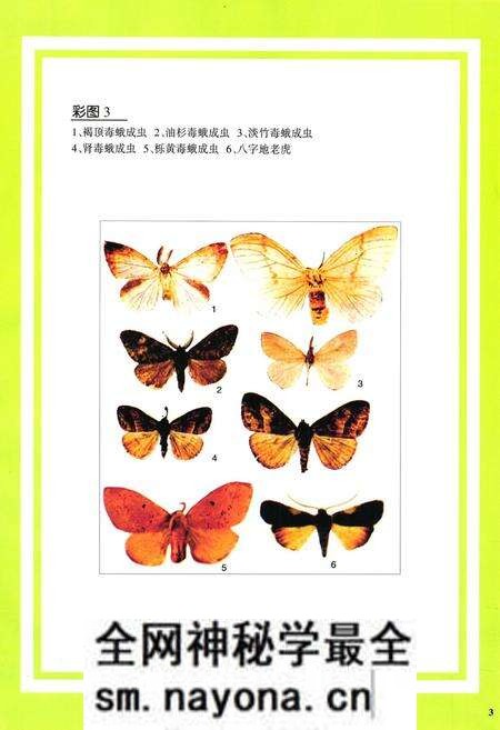 《凉山林木害虫图志》.pdf电子版_四川省志预览图5 《凉山林木害虫图志》.pdf电子版_四川省志预览图5