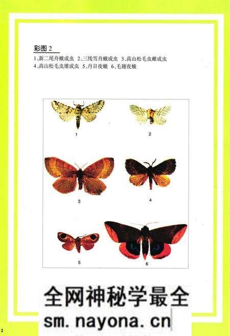 《凉山林木害虫图志》.pdf电子版_四川省志预览图4 《凉山林木害虫图志》.pdf电子版_四川省志预览图4