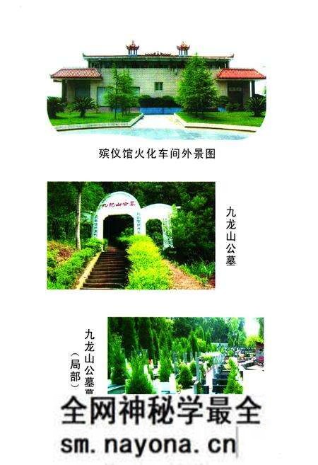 《乐至县民政志(1986-2005)》.pdf电子版_四川省志预览图5 《乐至县民政志(1986-2005)》.pdf电子版_四川省志预览图5