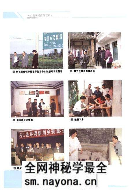 《名山县农村信用联社志(1996-2005)》.pdf电子版_四川省志预览图5