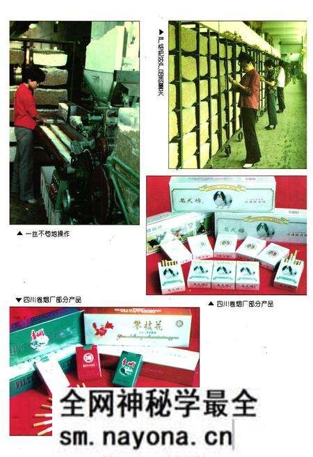 《内江地区烟草志》.pdf电子版_四川省志预览图5