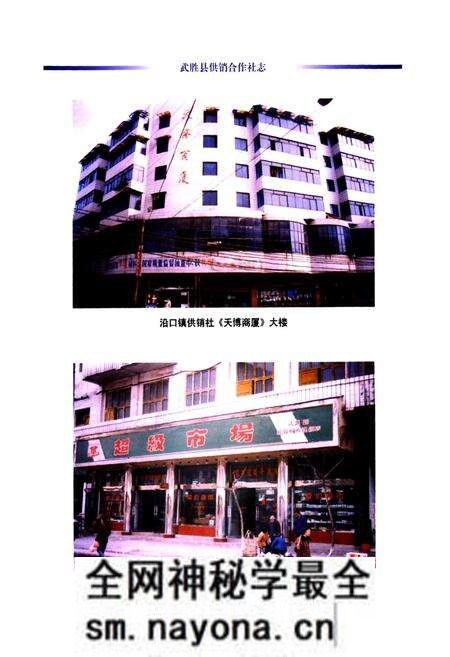 《武胜县供销合作社志(1986-2005)》.pdf电子版_四川省志预览图3 《武胜县供销合作社志(1986-2005)》.pdf电子版_四川省志预览图3