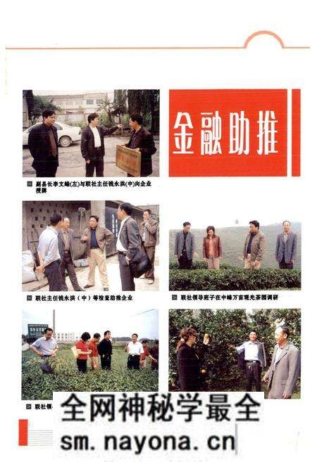 《名山县农村信用联社志(1996-2005)》.pdf电子版_四川省志预览图2