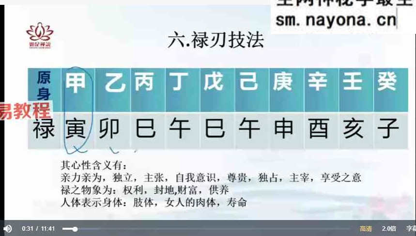 辰南《十天干喜忌·月令调候·常见格局》视频28集