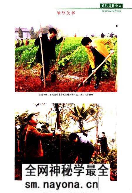 《武胜县林业志(1919-2008)》.pdf电子版_四川省志预览图2 《武胜县林业志(1919-2008)》.pdf电子版_四川省志预览图2