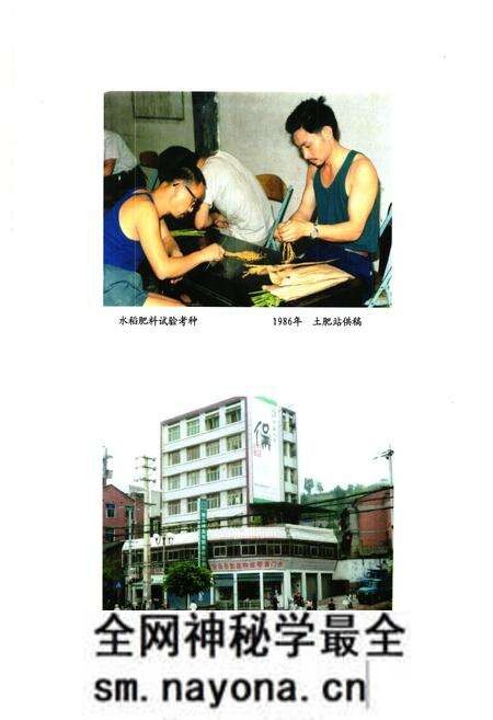 《安岳县农业局志(1986-2005)》.pdf电子版_四川省志预览图2 《安岳县农业局志(1986-2005)》.pdf电子版_四川省志预览图2