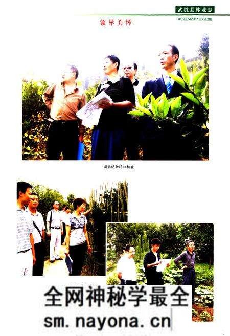 《武胜县林业志(1919-2008)》.pdf电子版_四川省志预览图4 《武胜县林业志(1919-2008)》.pdf电子版_四川省志预览图4