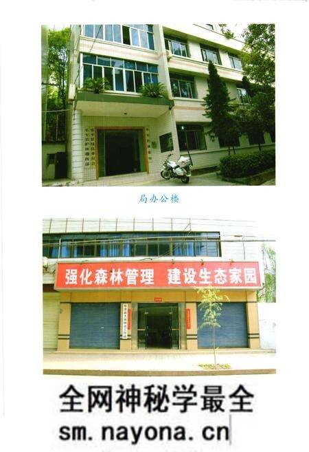 《乐至县林业志(1986-2007)》.pdf电子版_四川省志预览图5 《乐至县林业志(1986-2007)》.pdf电子版_四川省志预览图5