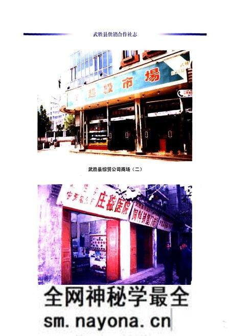 《武胜县供销合作社志(1986-2005)》.pdf电子版_四川省志预览图4 《武胜县供销合作社志(1986-2005)》.pdf电子版_四川省志预览图4