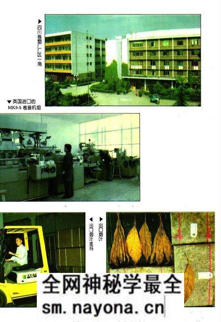 《内江地区烟草志》.pdf电子版_四川省志预览图4