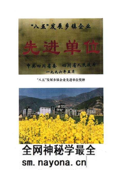 《凉山彝族自治州乡镇企业志》.pdf电子版_四川省志预览图5 《凉山彝族自治州乡镇企业志》.pdf电子版_四川省志预览图5