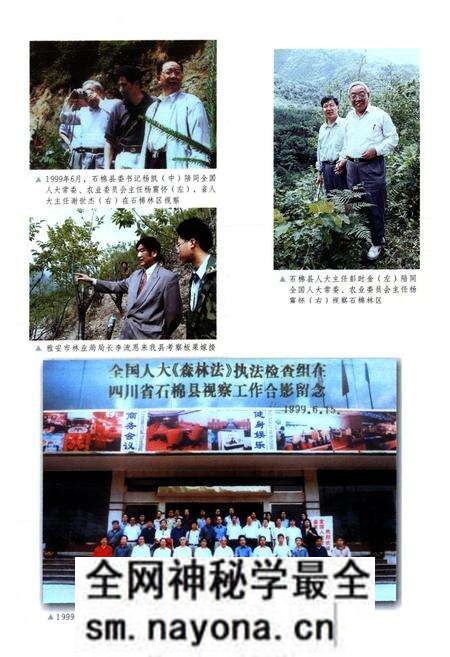 《石棉县林业志》.pdf电子版_四川省志预览图3 《石棉县林业志》.pdf电子版_四川省志预览图3