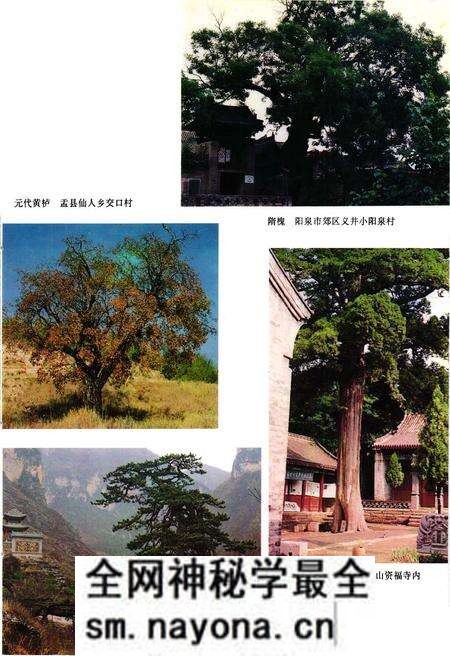 《《汶川特大地震中国石油抗震救灾志》》.pdf电子版_四川省志预览图4 《《汶川特大地震中国石油抗震救灾志》》.pdf电子版_四川省志预览图4