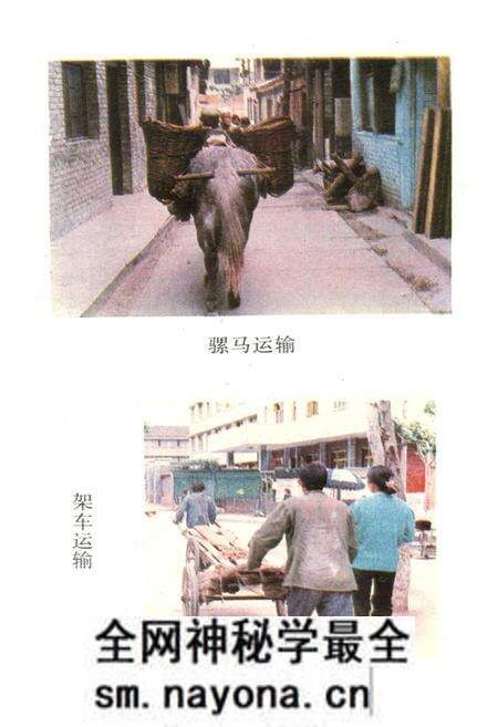 《南坪县交通志》.pdf电子版_四川省志预览图3 《南坪县交通志》.pdf电子版_四川省志预览图3