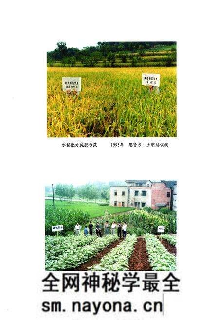 《安岳县农业局志(1986-2005)》.pdf电子版_四川省志预览图5 《安岳县农业局志(1986-2005)》.pdf电子版_四川省志预览图5
