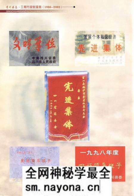 《青川县志工商行政管理志(1986~2002)》.pdf电子版_四川省志预览图5