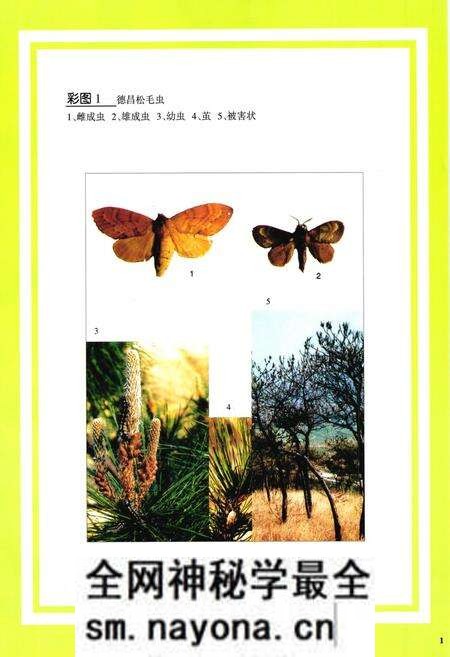 《凉山林木害虫图志》.pdf电子版_四川省志预览图3 《凉山林木害虫图志》.pdf电子版_四川省志预览图3