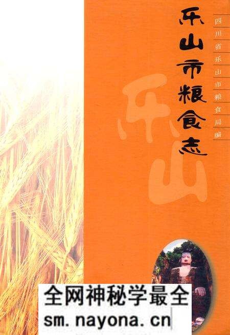 《《乐山市粮食志》》.pdf电子版_四川省志预览图