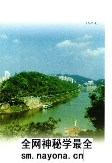 《自贡市烟草志》.pdf电子版_四川省志预览图4